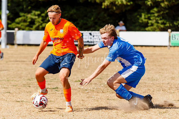 Diss Town v Holbeach United
