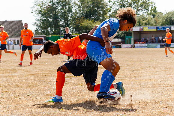 Diss Town v Holbeach United