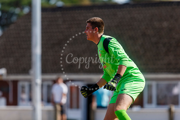 Diss Town v Holbeach United