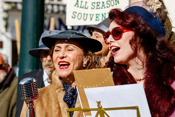 Diss Museum Opening Parade
