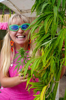 Hemp Harvest Retreat