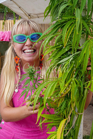 Hemp Harvest Retreat