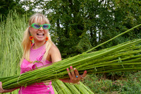 Hemp Harvest Retreat