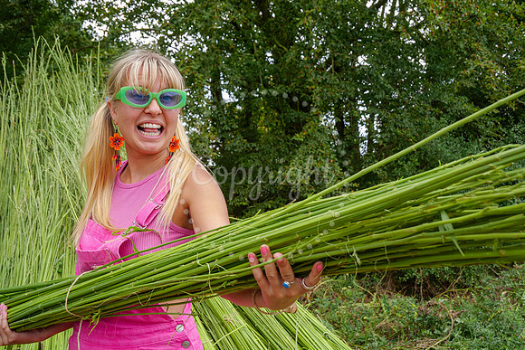 Hemp Harvest Retreat