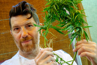 Hemp Harvest Retreat