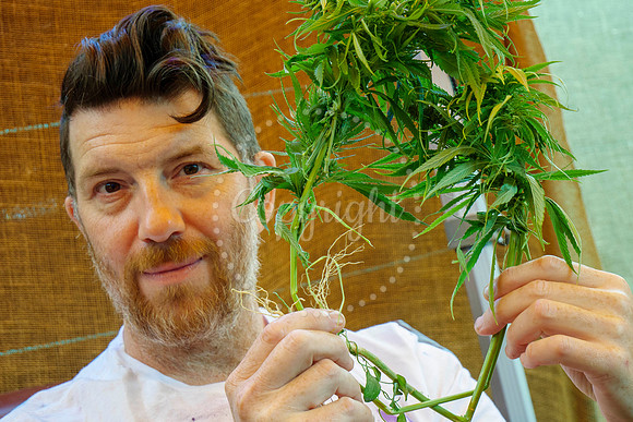 Hemp Harvest Retreat