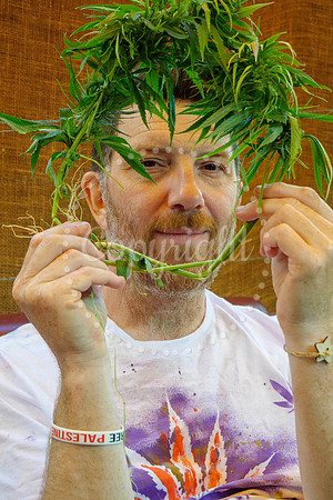 Hemp Harvest Retreat
