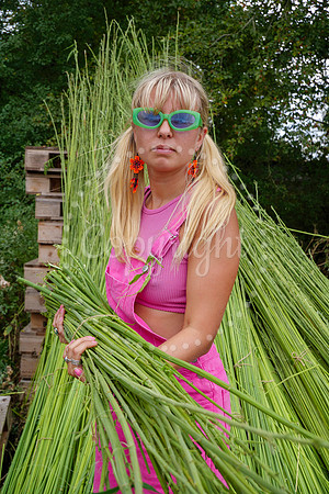 Hemp Harvest Retreat