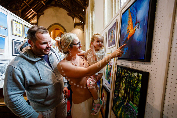 Tostock Art Show