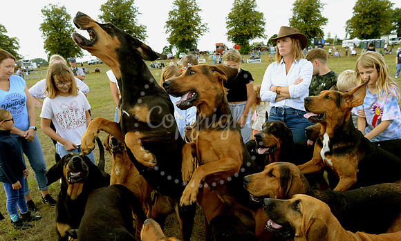 Suffolk Horse Society Spectacular