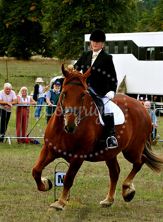 Suffolk Horse Society Spectacular