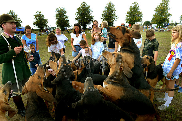 Suffolk Horse Society Spectacular