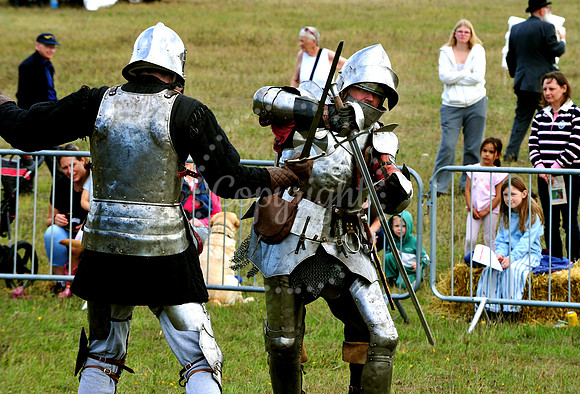 Suffolk Horse Society Spectacular