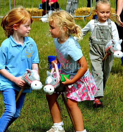 Suffolk Horse Society Spectacular