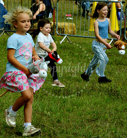 Suffolk Horse Society Spectacular