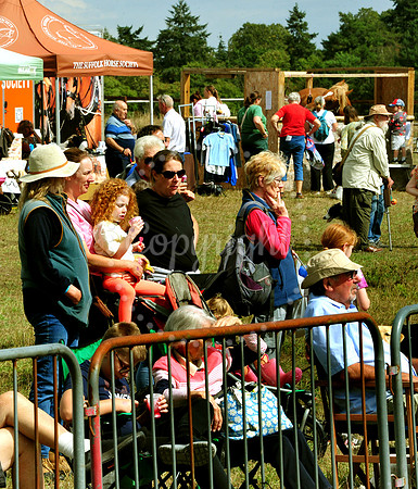 Suffolk Horse Society Spectacular