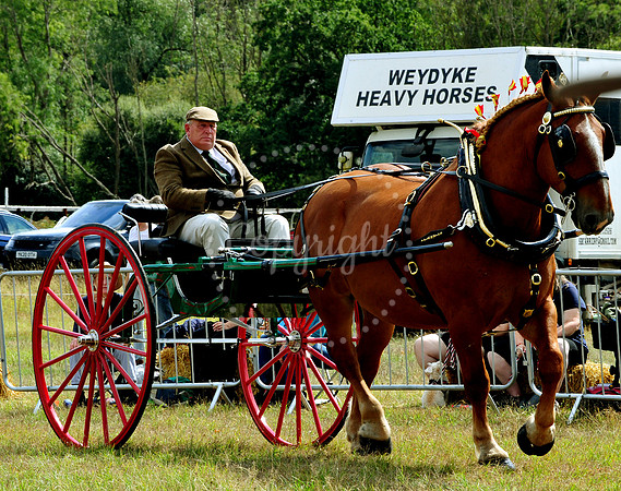 Suffolk Horse Society Spectacular