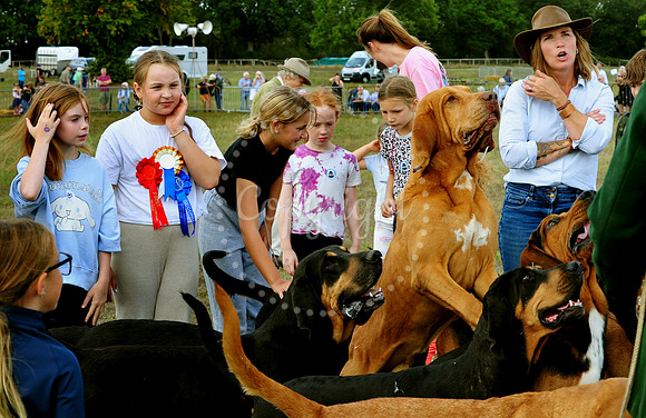 Suffolk Horse Society Spectacular