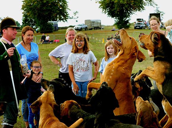 Suffolk Horse Society Spectacular