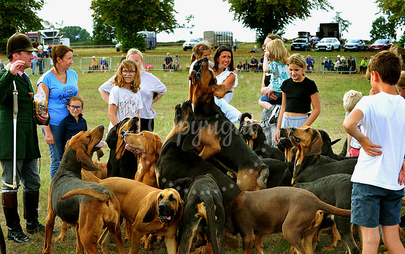 Suffolk Horse Society Spectacular
