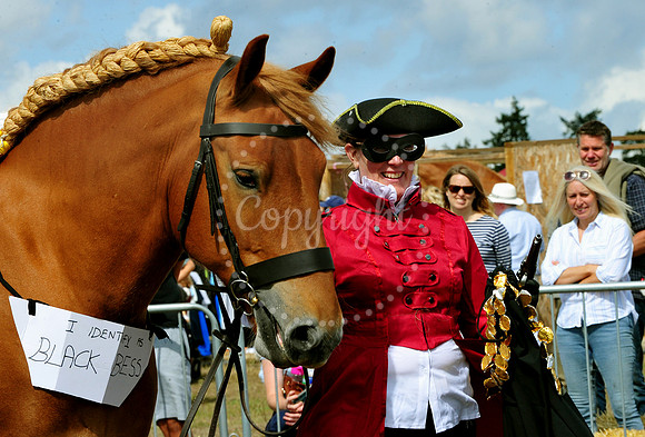 Suffolk Horse Society Spectacular