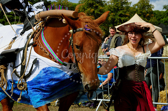 Suffolk Horse Society Spectacular