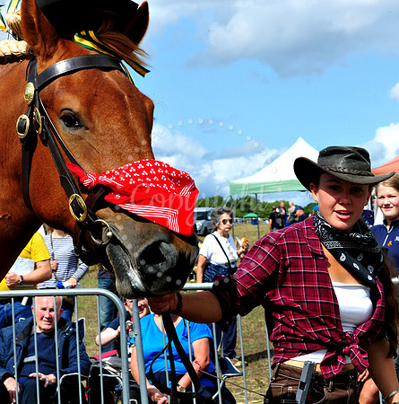 Suffolk Horse Society Spectacular