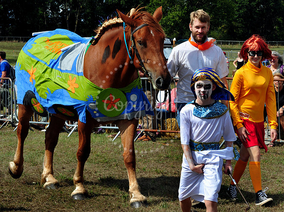 Suffolk Horse Society Spectacular