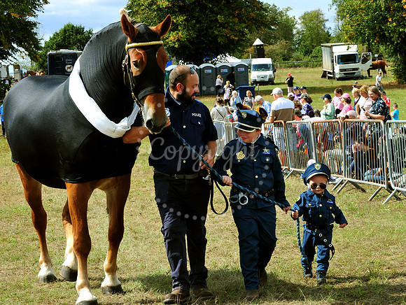 Suffolk Horse Society Spectacular