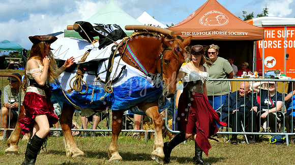 Suffolk Horse Society Spectacular