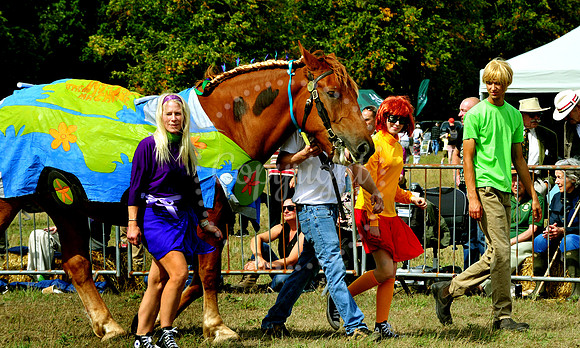 Suffolk Horse Society Spectacular