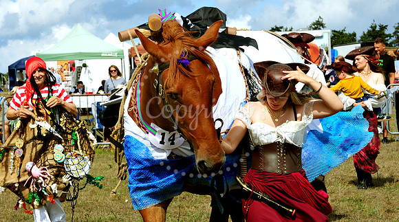 Suffolk Horse Society Spectacular