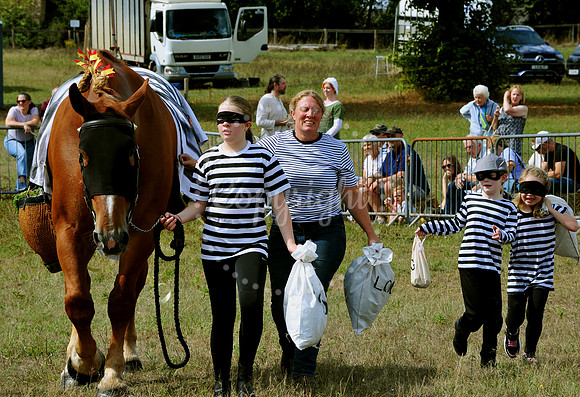 Suffolk Horse Society Spectacular