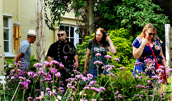 Walsham Le Willows Open Gardens