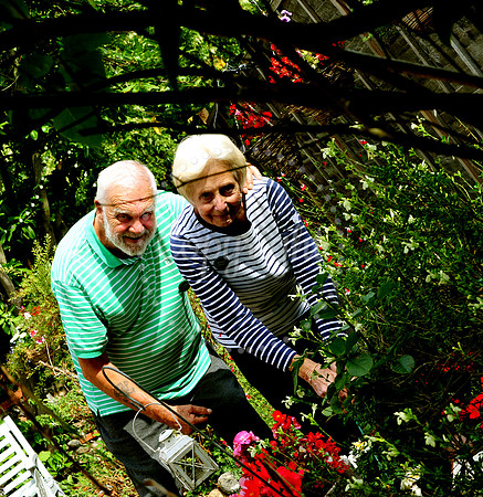 Walsham Le Willows Open Gardens