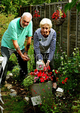 Walsham Le Willows Open Gardens