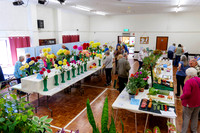 Diss Horticultural Society Autumn Flower Show