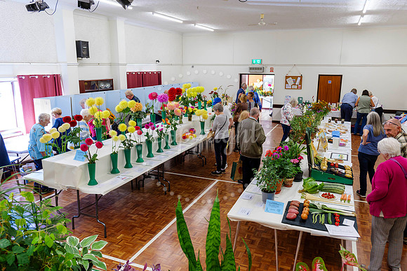 Diss Horticultural Society Autumn Flower Show