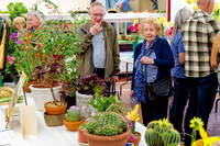 Diss Horticultural Society Autumn Flower Show