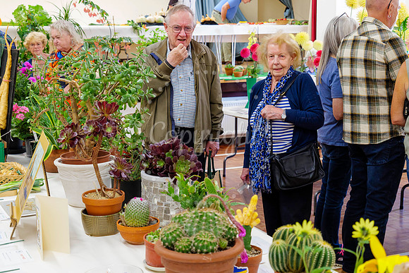 Diss Horticultural Society Autumn Flower Show