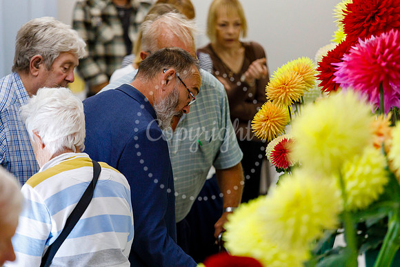 Diss Horticultural Society Autumn Flower Show
