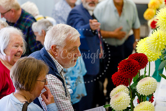 Diss Horticultural Society Autumn Flower Show