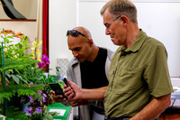 Diss Horticultural Society Autumn Flower Show