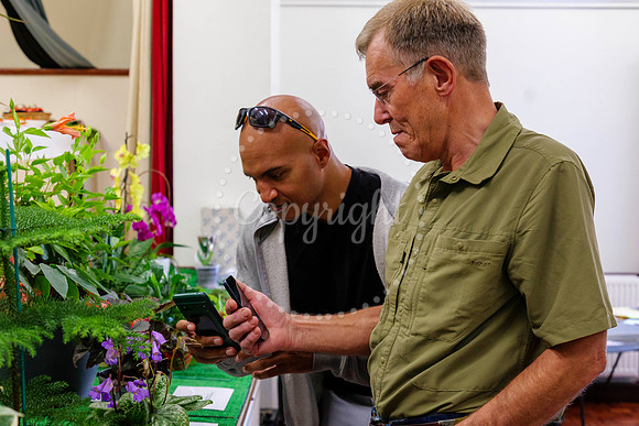 Diss Horticultural Society Autumn Flower Show