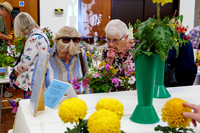 Diss Horticultural Society Autumn Flower Show