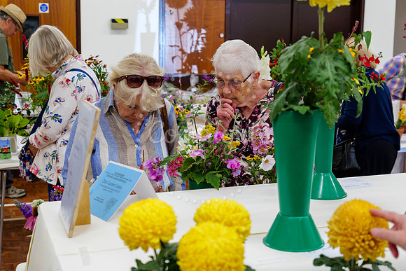 Diss Horticultural Society Autumn Flower Show
