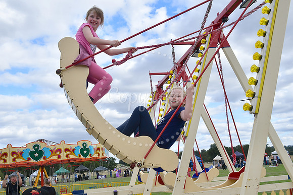 Belton Estate Community Festival