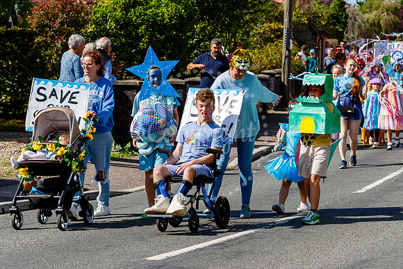 Pulham Market Carnival