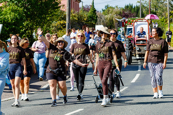 Pulham Market Carnival