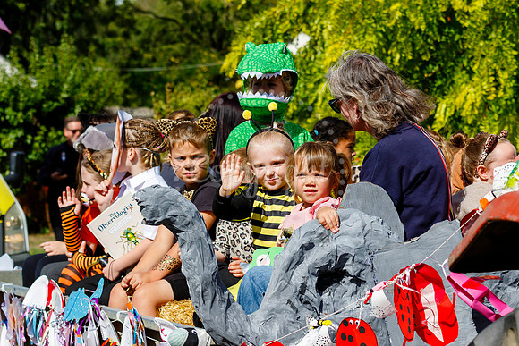 Pulham Market Carnival